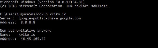 DNS Nasıl Çalışır?