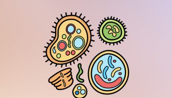 Sosyal Medya Üstünden İkna Covid Aşısı ve Youtube