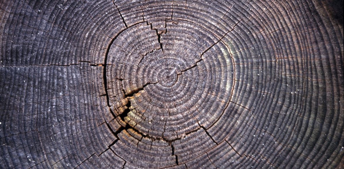 Büyüme Pazarlaması (Growth Hacking) Nedir?