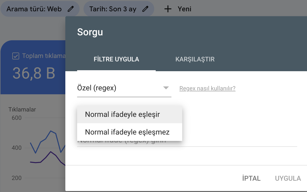 GSC RegEx Kullanımı