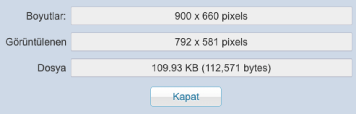google chrome Image Size Info eklentisi