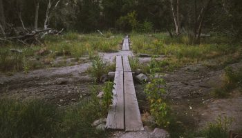 Critical Rendering Path Nedir, Nasıl Optimize Edilir?