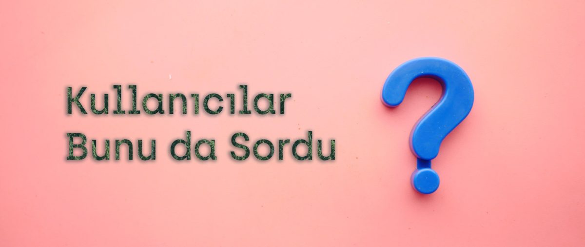 Kullanıcılar Bunu da Sordu (PAA) Ölçümleme