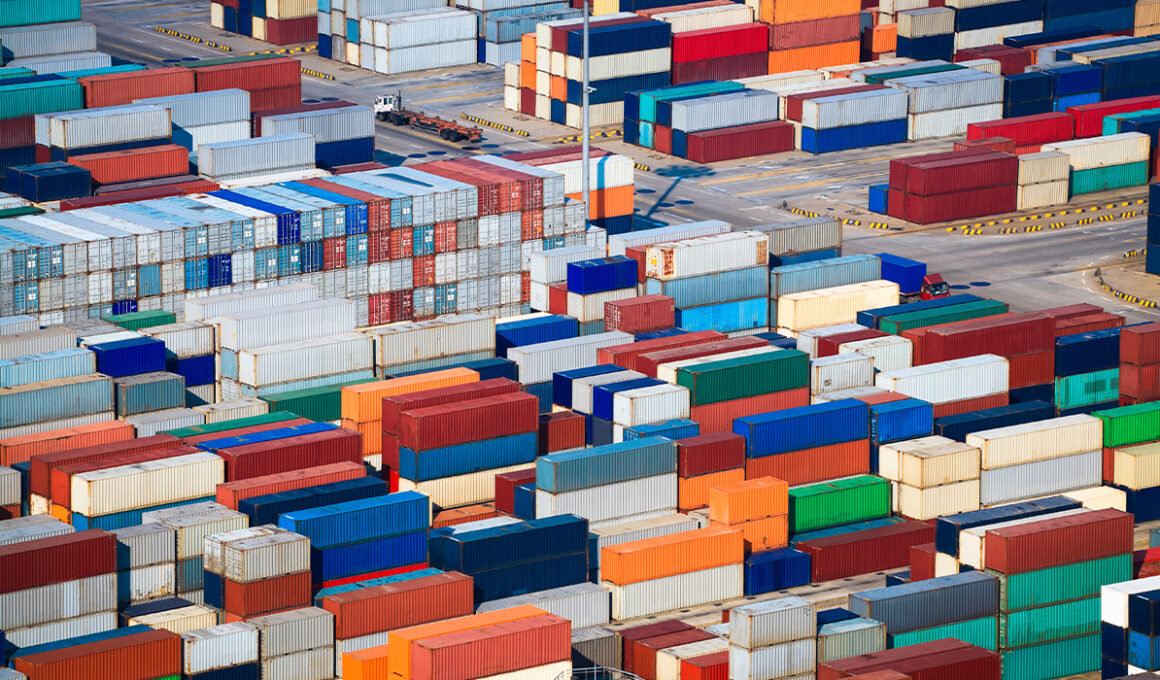 Gümrüksüz Yurt Dışı Alışveriş Sınırının Düşürülmesi: Temu ve Vergi Gelirleri Üzerindeki Etkileri