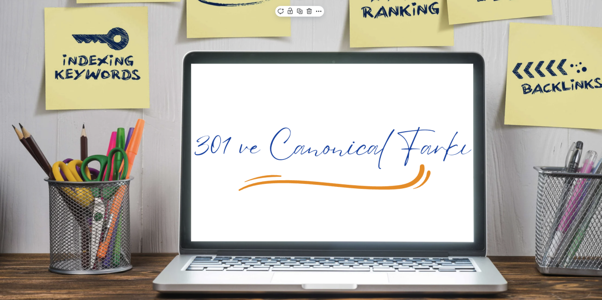 301 ve canonical farkı