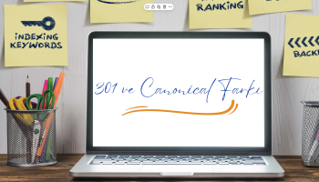 301 ve canonical farkı
