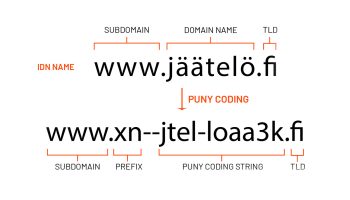 Uluslararasılaştırılmış Alan Adları (IDN) ve Güvenlik Riskleri